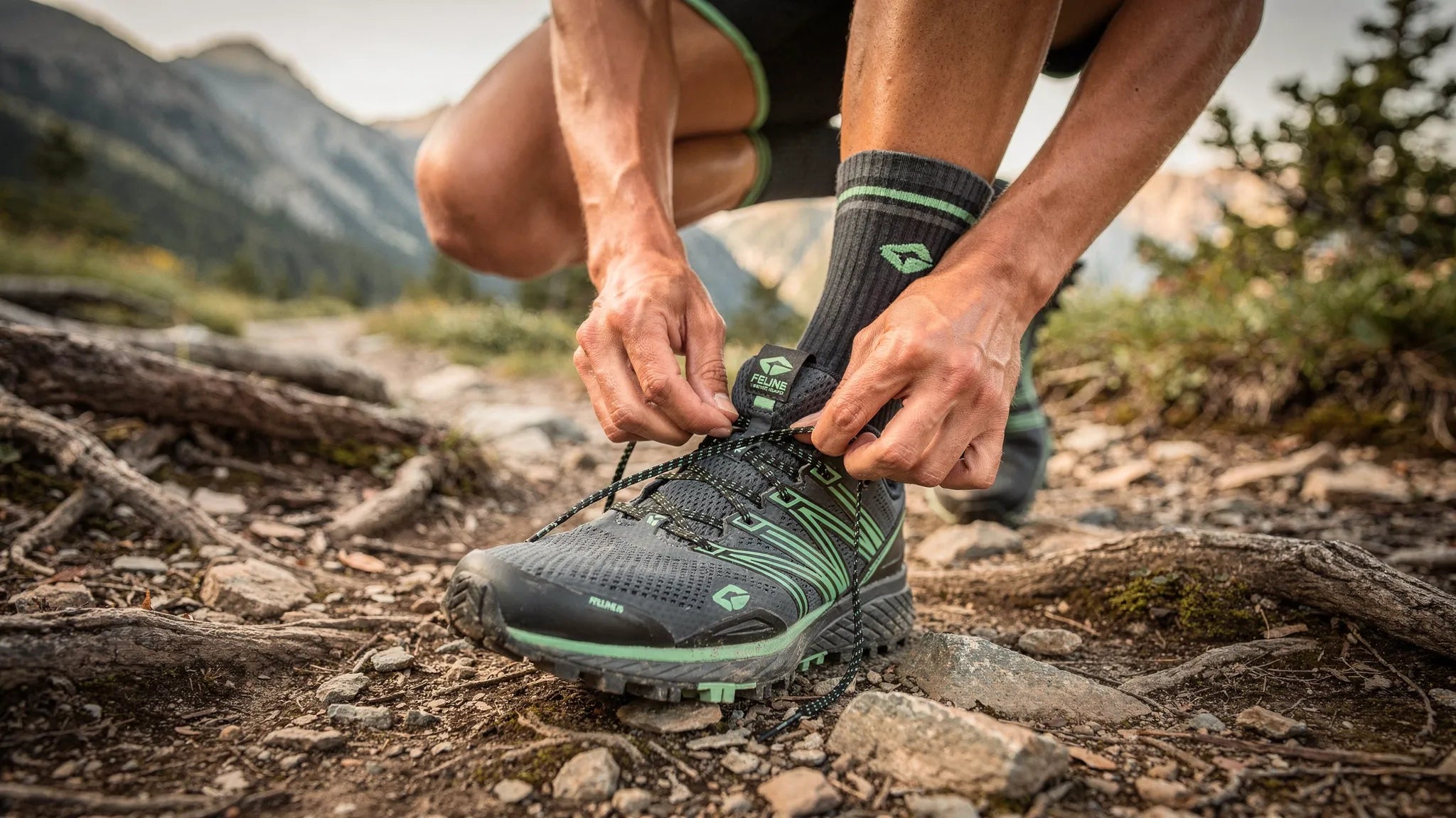 Feline Up Pro: a chi serve e come scegliere la misura