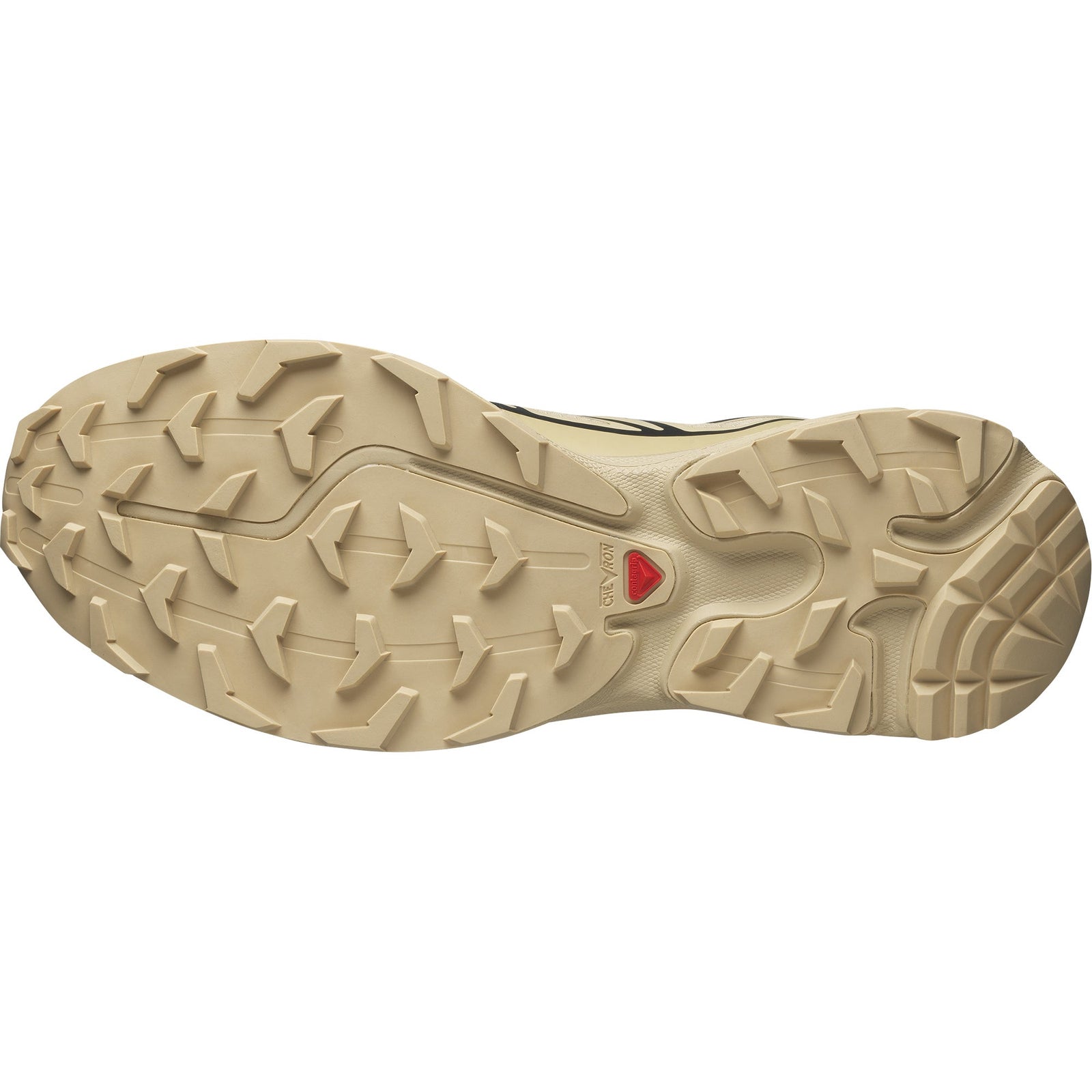 Scarpe XT-6 GTX Safari/Safari
