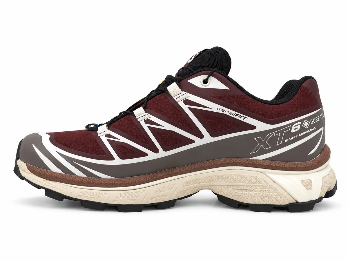 XT-6 GTX Schuhe Bitter Chocolate/Iron