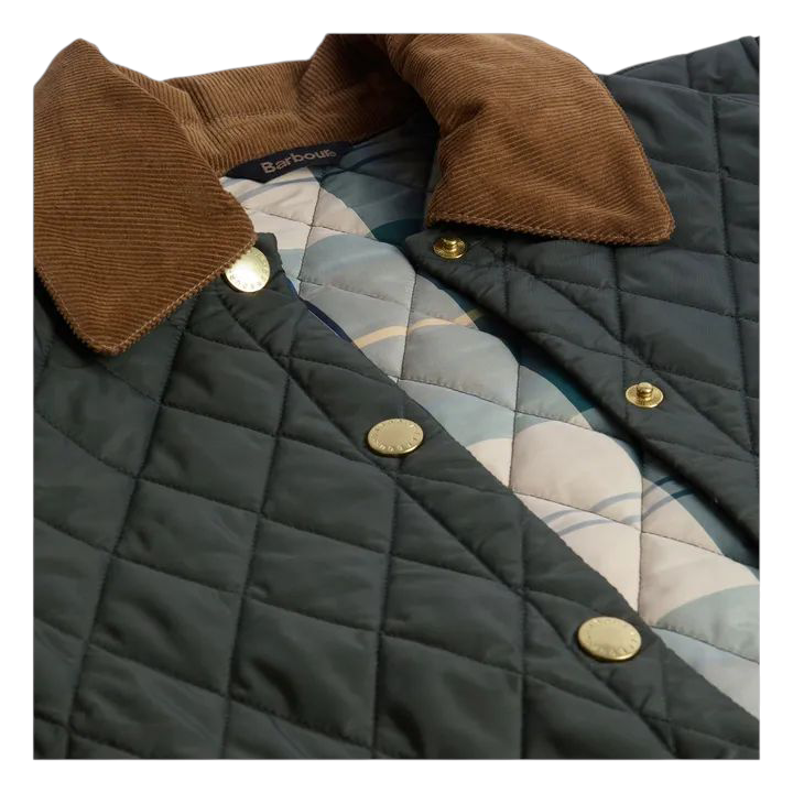 Women's Cropped Icons Jacket Olive