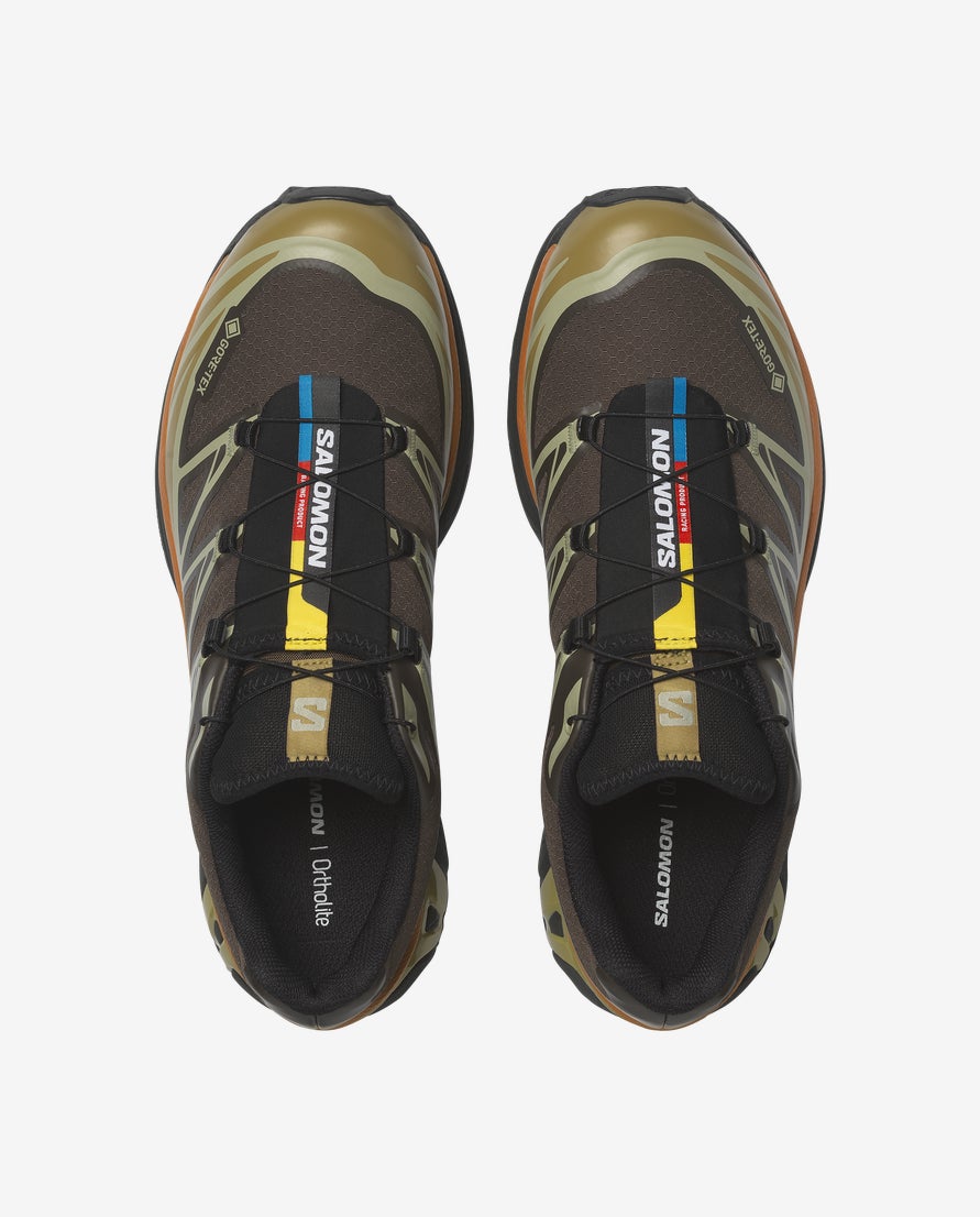 XT-6 GTX Shoes Delicioso/Tea
