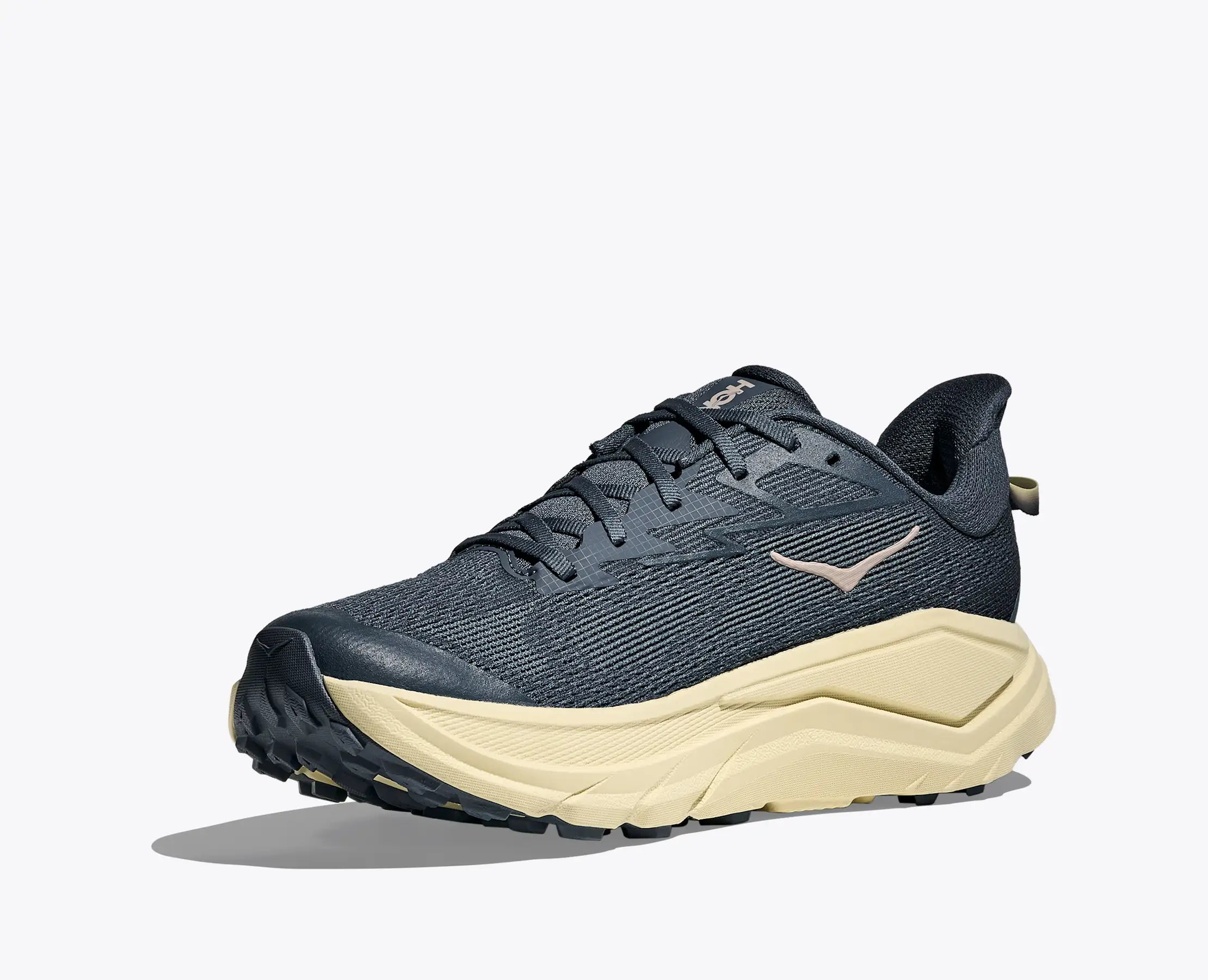 Scarpe Challenger 8 Uomo Faded Navy/Pampass Grass