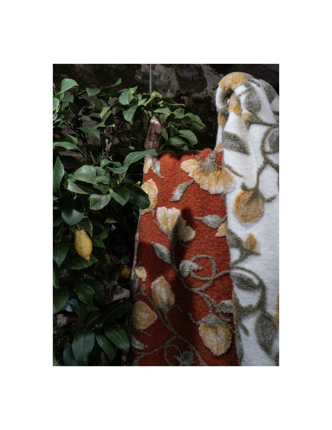 Narciso Cover Orange/Gris