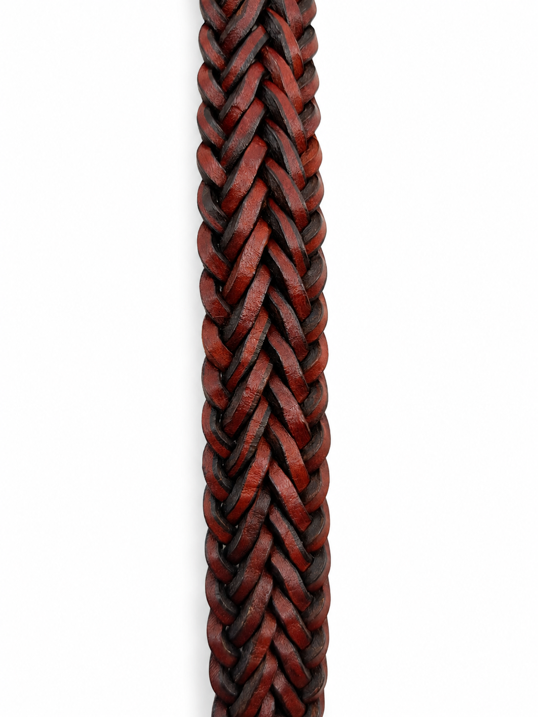 Cintura 9Play Polo Tip 2Cm Donna Tan/Black Edges