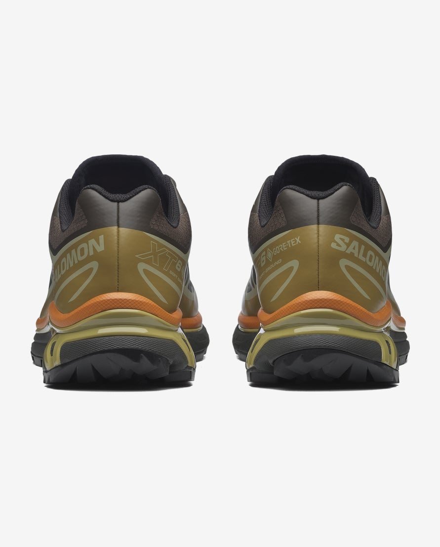 XT-6 GTX Shoes Delicioso/Tea