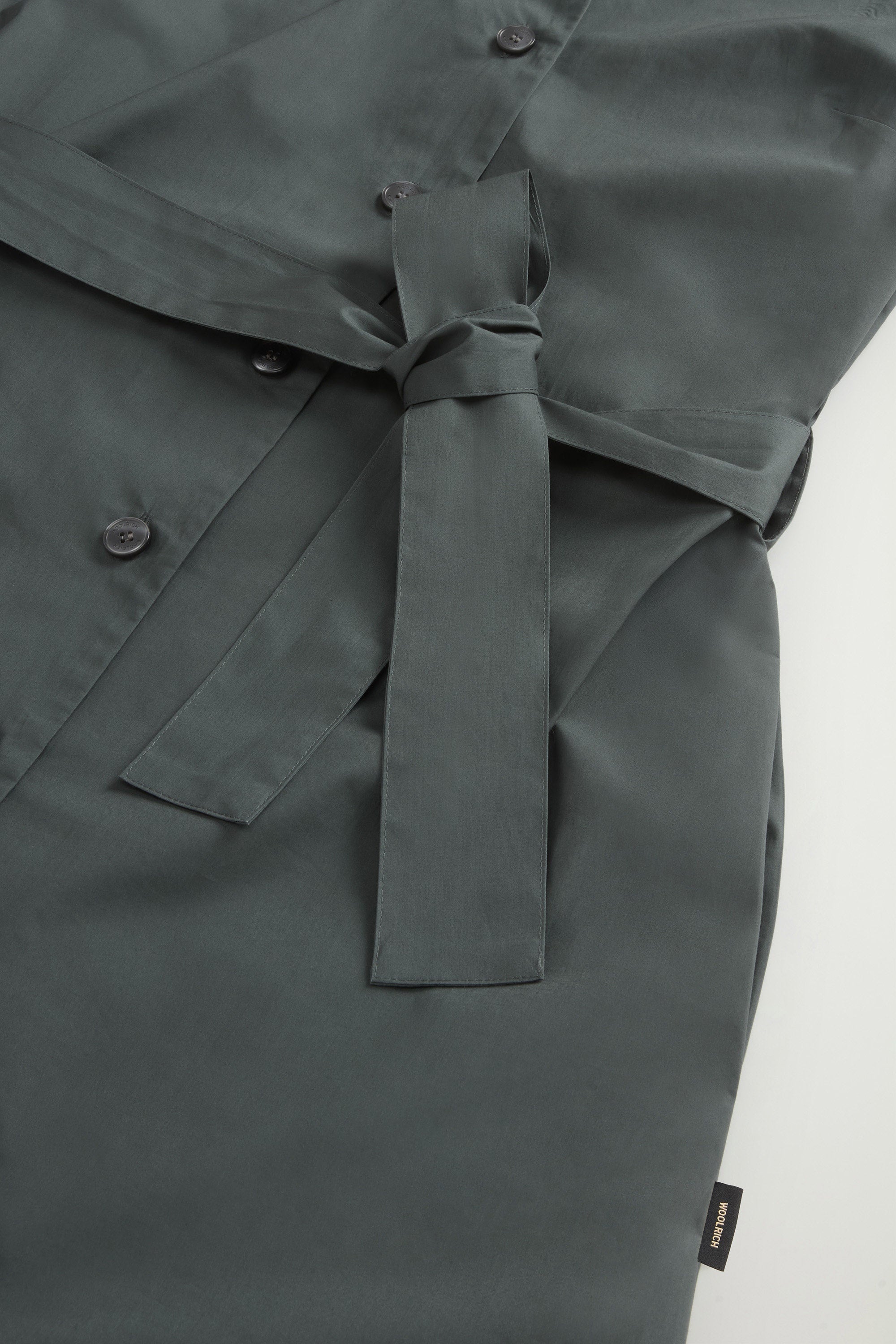 Women's Chemisier Poplin Cotton Dress Forest Veil