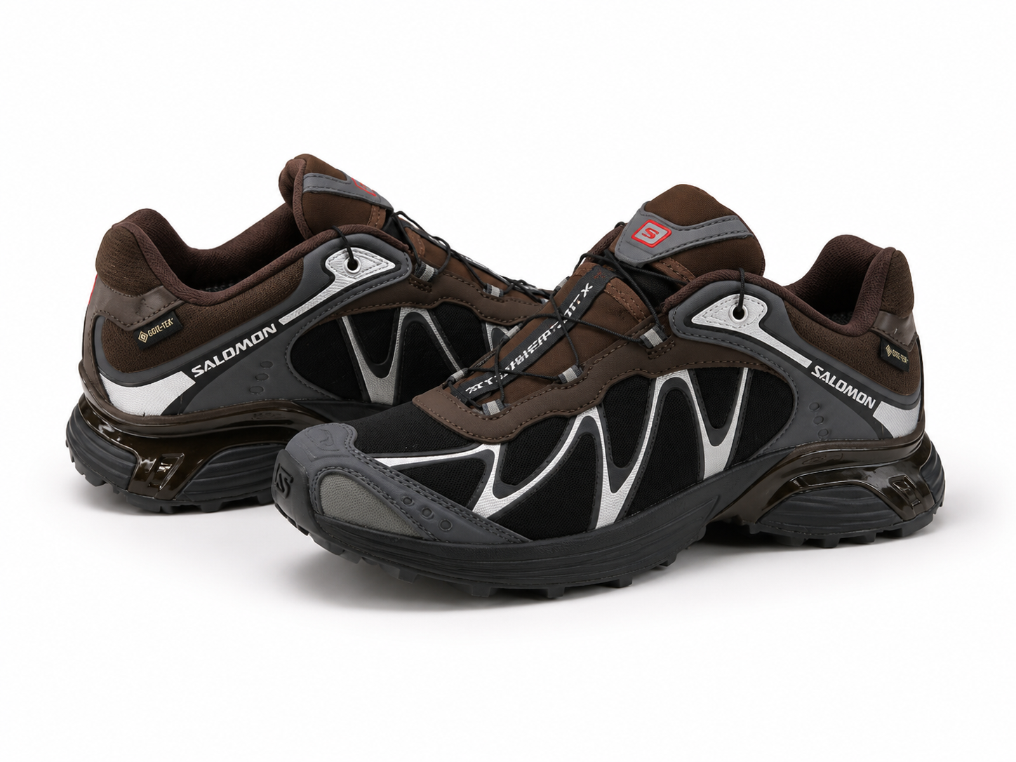 XT-Whisper GTX Shoes Delicioso/Asphalt