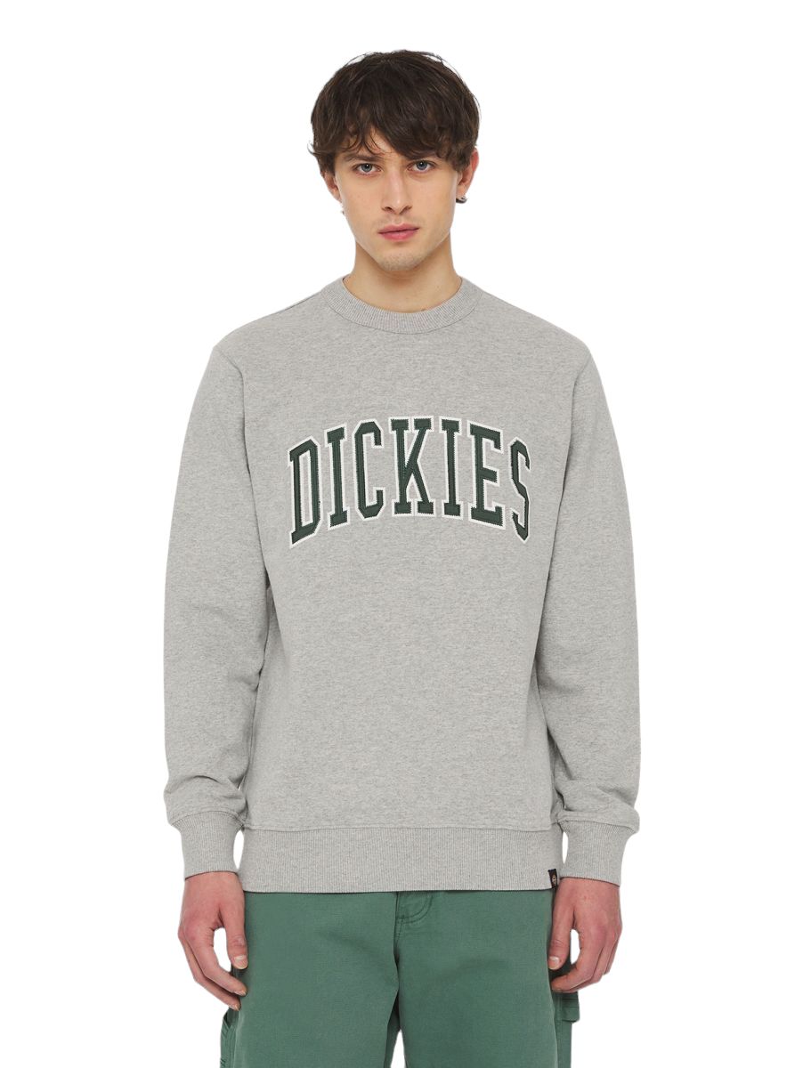 Dickies | Maglia Aitkin Uomo Forest - Fabbrica Ski Sises