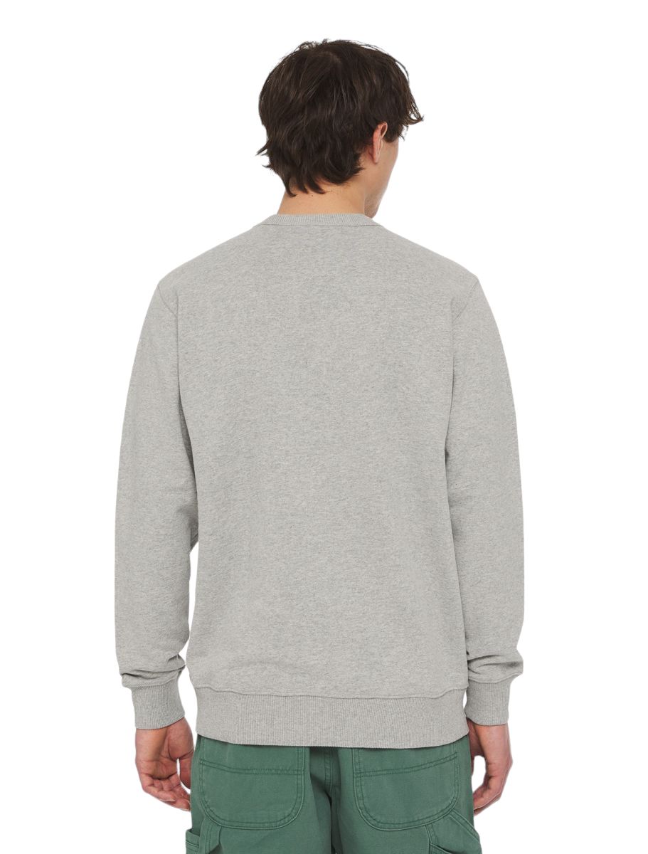 Dickies | Maglia Aitkin Uomo Forest - Fabbrica Ski Sises