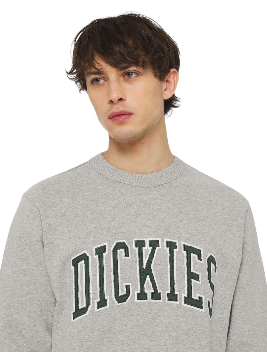Dickies | Maglia Aitkin Uomo Forest - Fabbrica Ski Sises
