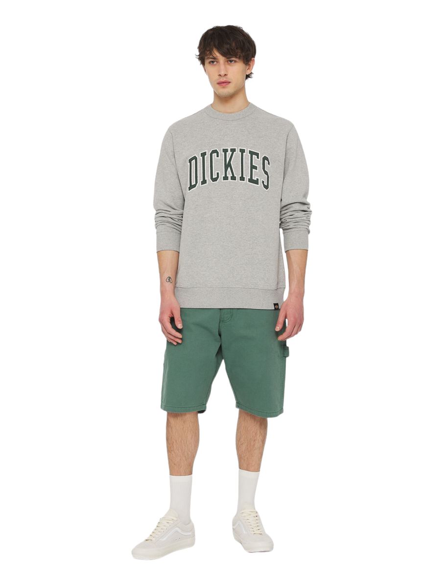 Dickies | Maglia Aitkin Uomo Forest - Fabbrica Ski Sises
