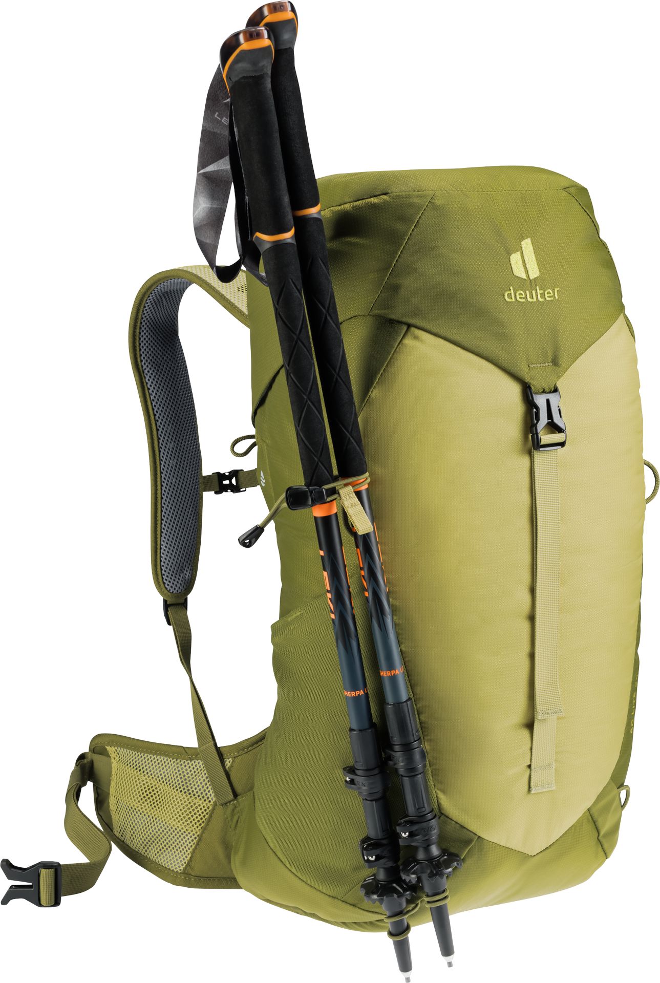 Deuter | Zaino AC Lite 24 Linden/Cactus - Fabbrica Ski Sises