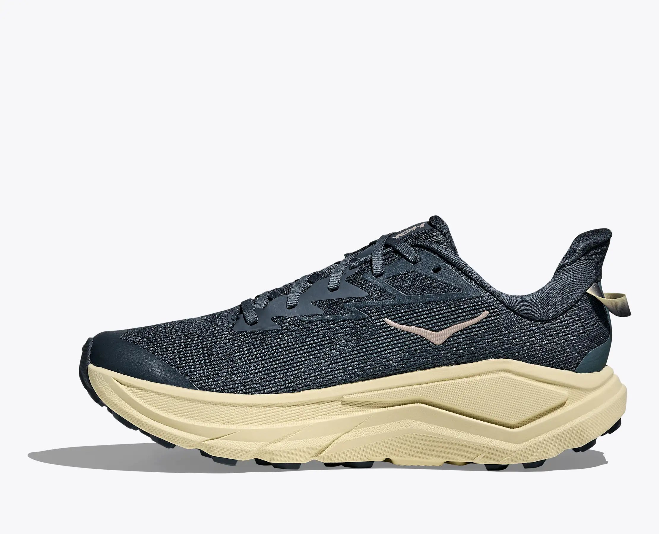 Scarpe Challenger 8 Uomo Faded Navy/Pampass Grass