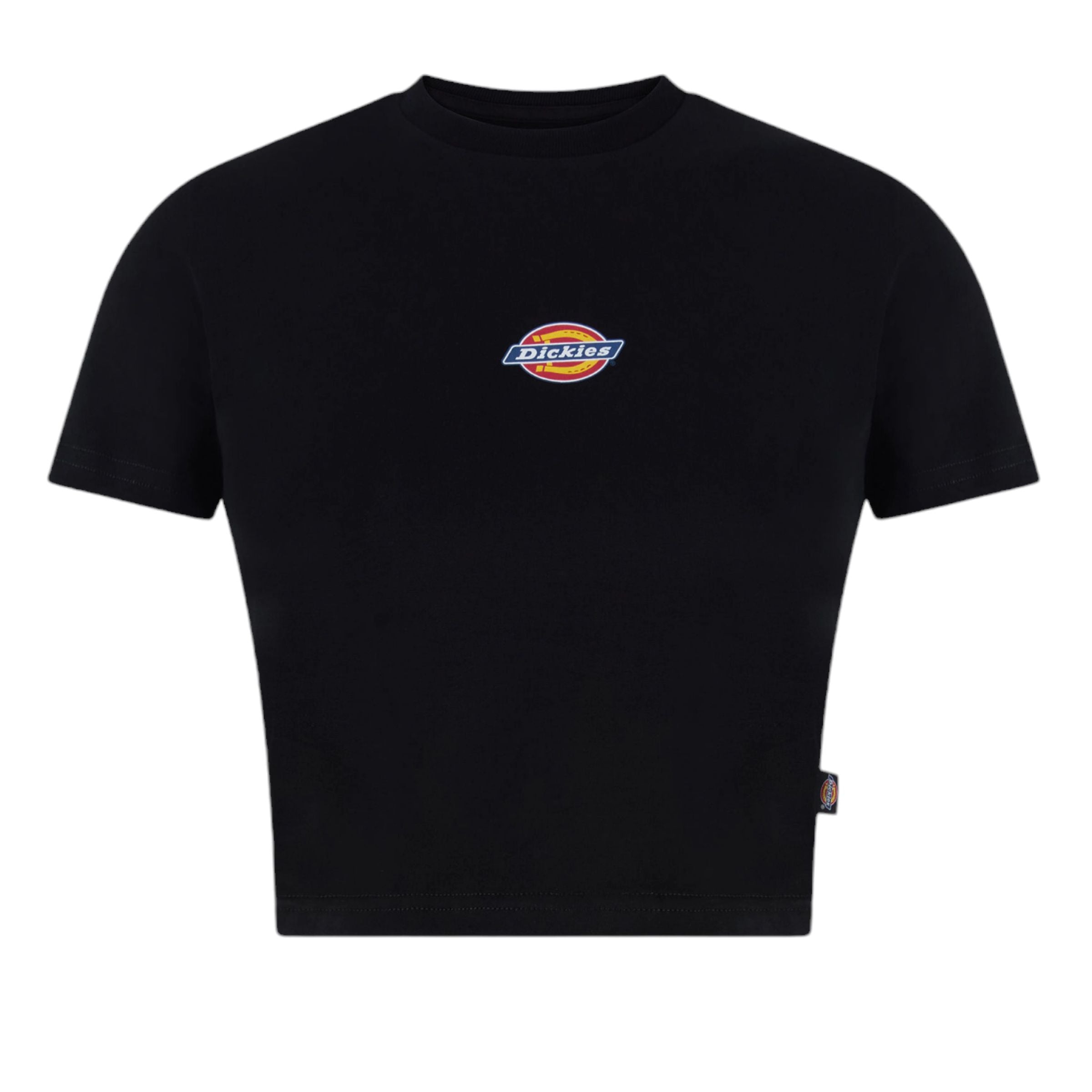 Dickies | T-shirt Maple Valley Donna Black - Fabbrica Ski Sises