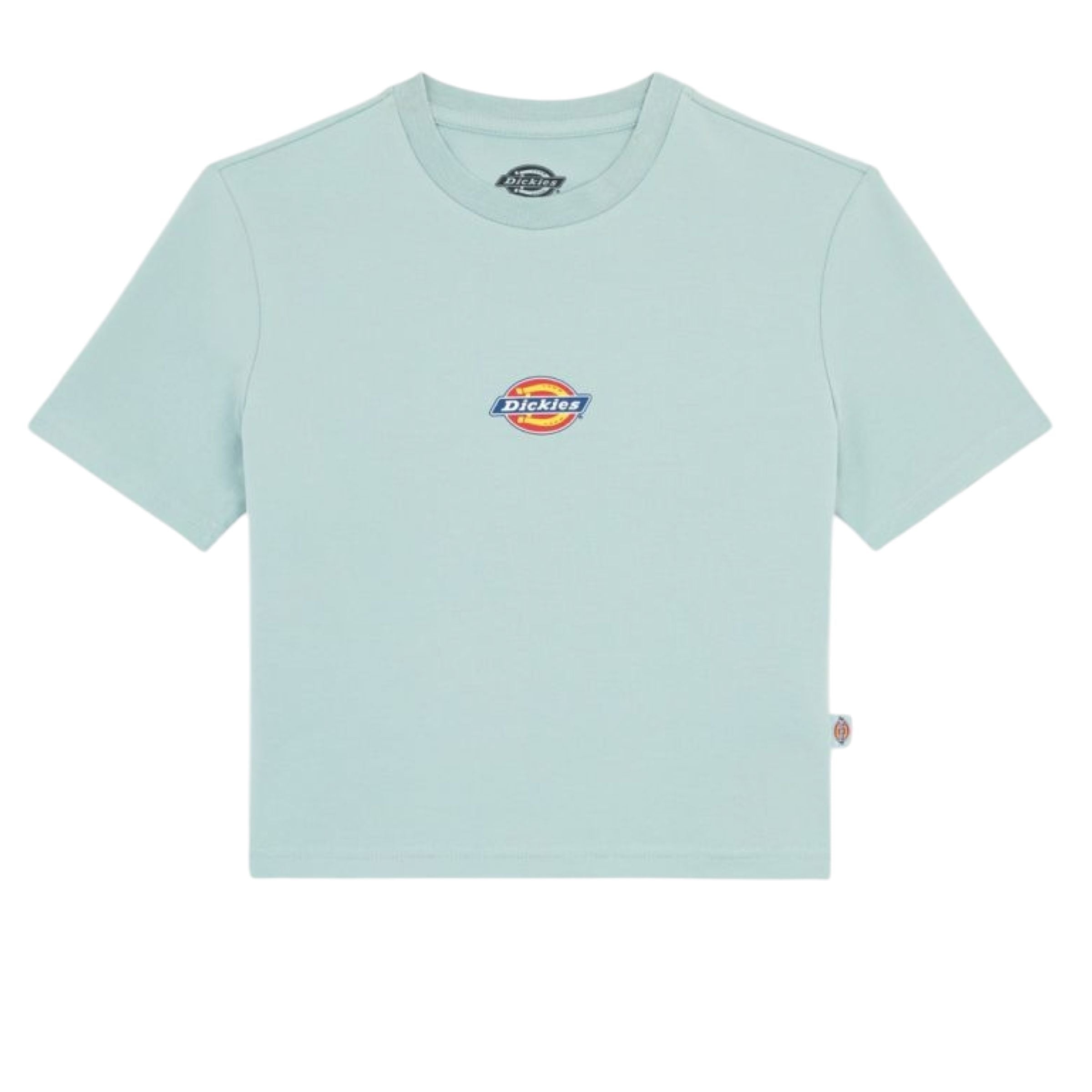 Dickies | T-shirt Maple Valley Donna Light Blue - Fabbrica Ski Sises