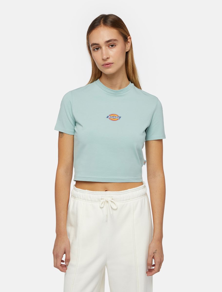 Dickies | T-shirt Maple Valley Donna Light Blue - Fabbrica Ski Sises