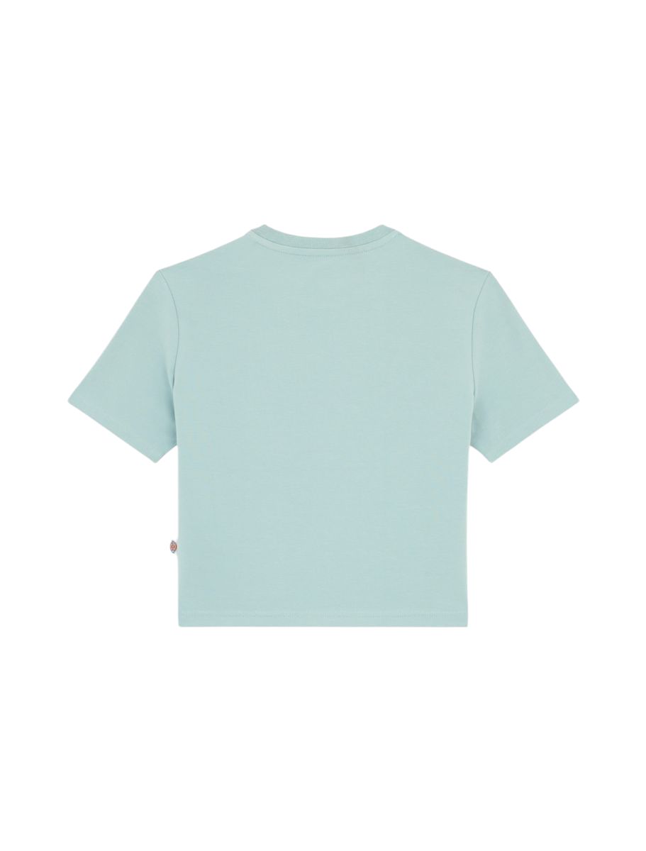 Dickies | T-shirt Maple Valley Donna Light Blue - Fabbrica Ski Sises