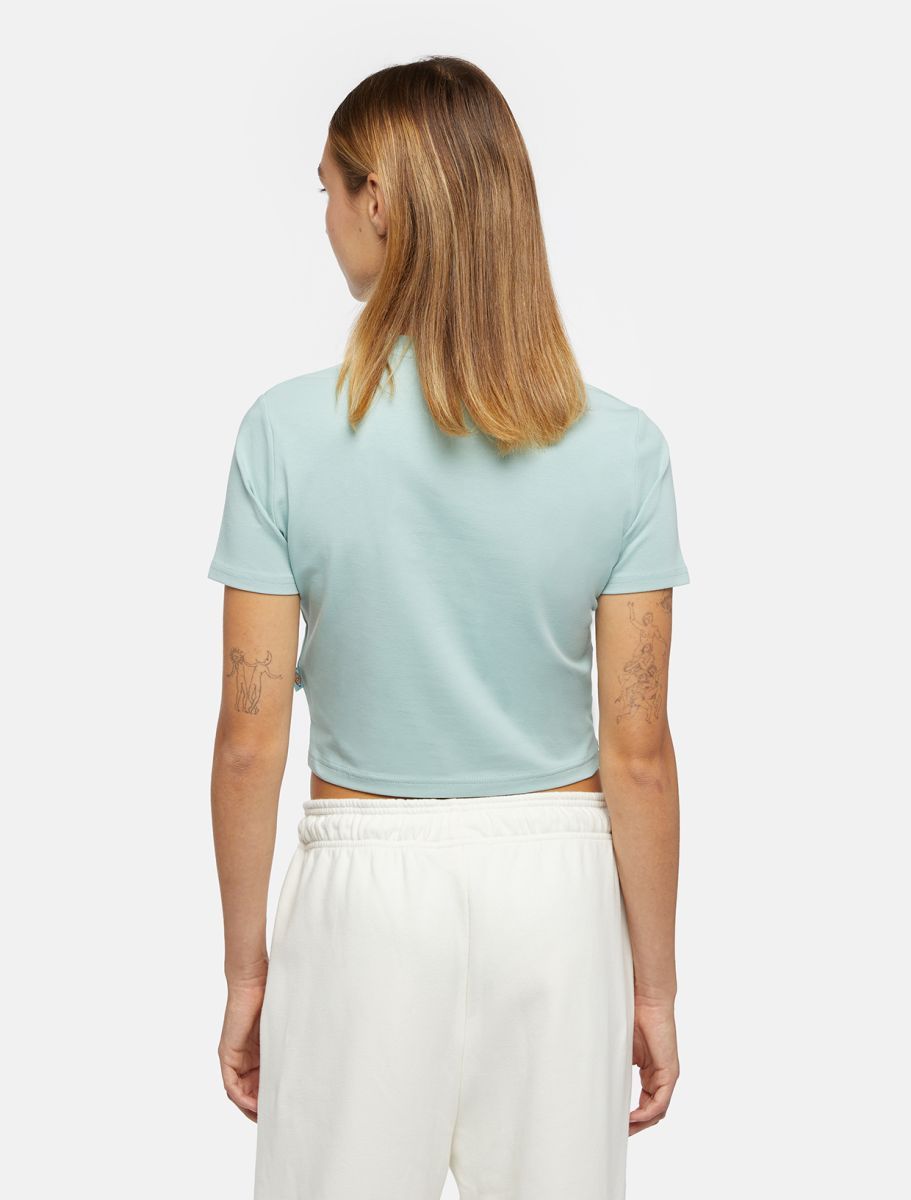 Dickies | T-shirt Maple Valley Donna Light Blue - Fabbrica Ski Sises