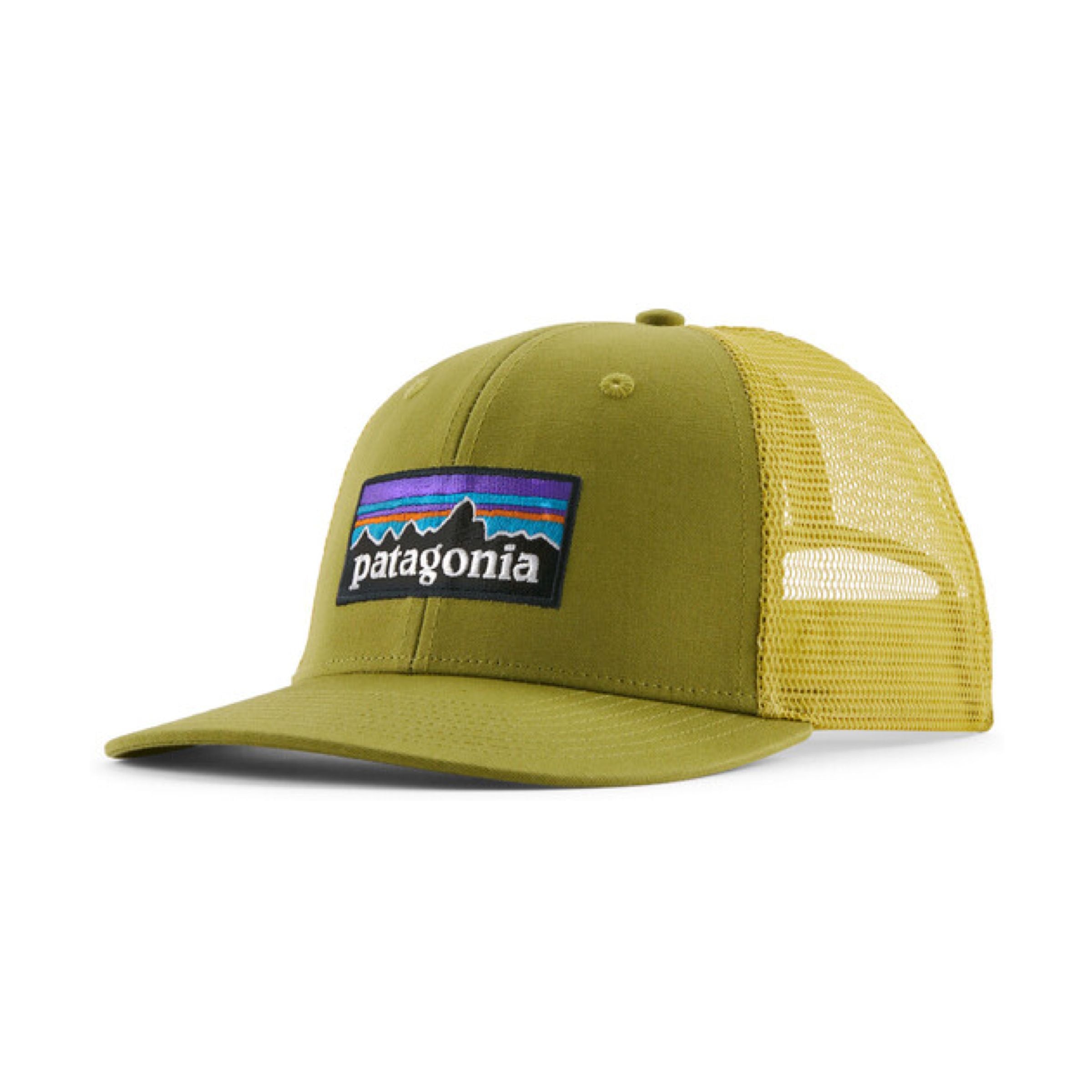 Patagonia | Cappello P-6 Logo Graze Green - Fabbrica Ski Sises