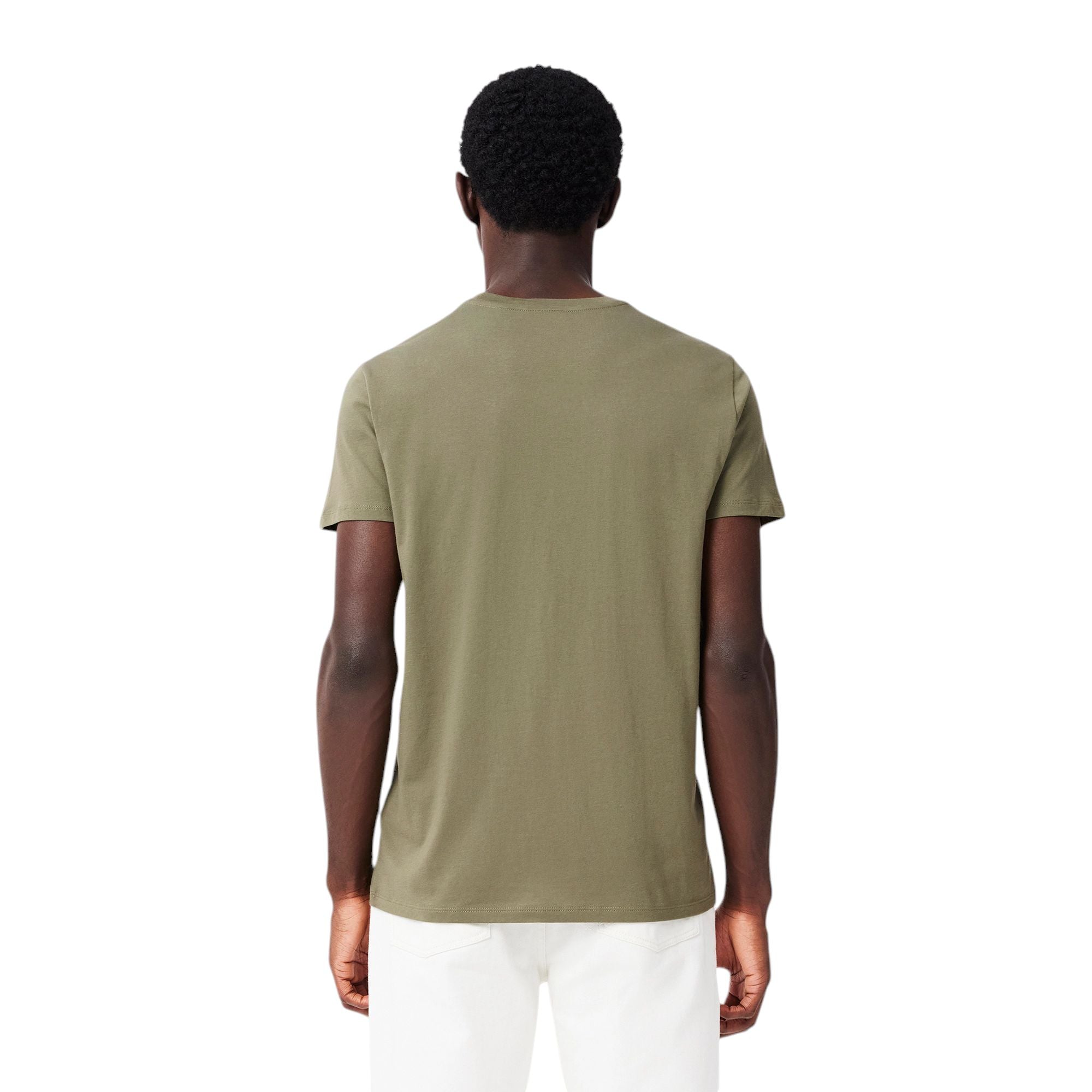 Lacoste | T-shirt Classic In Pima Uomo Verde Cachi - Fabbrica Ski Sises
