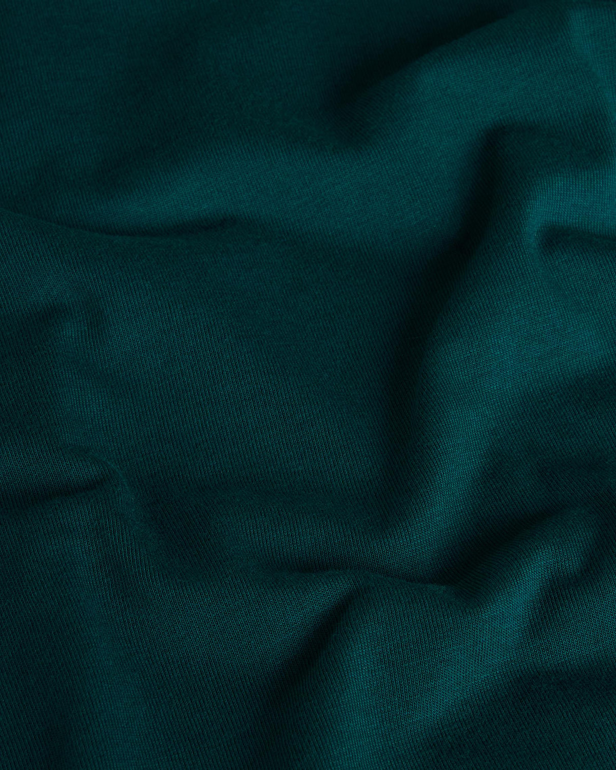 T-shirt Monte Regular Uomo Pacific Teal