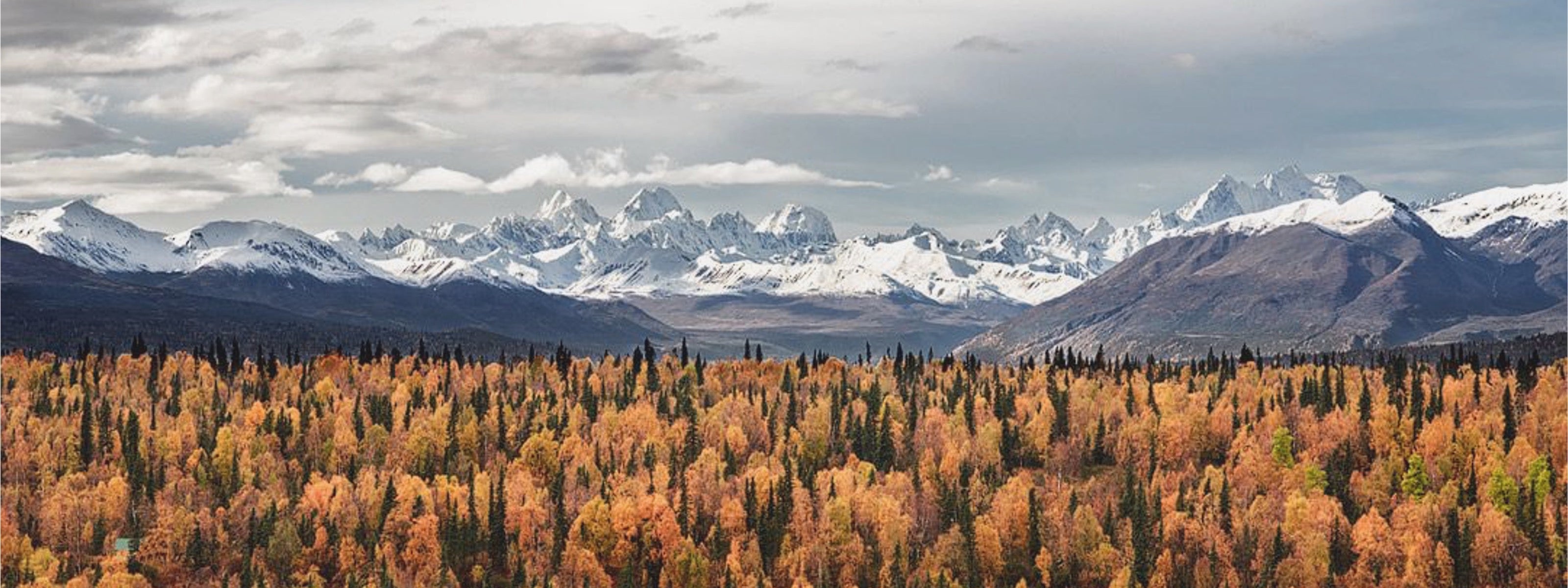 fwsliderh1ome_ad55935a-5696-43e9-aa76-3d144d54bb83 - Fabbrica Ski Sises