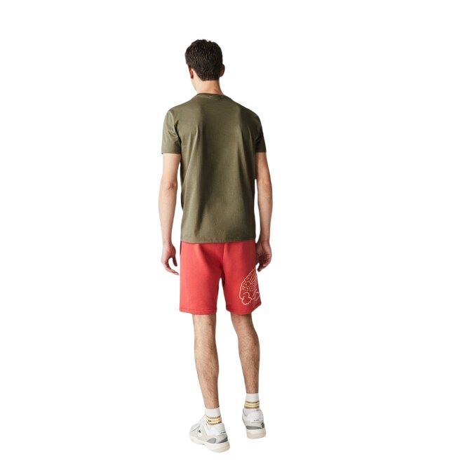 Lacoste | T-shirt Classic in Pima Uomo Verde Cachi - Fabbrica Ski Sises