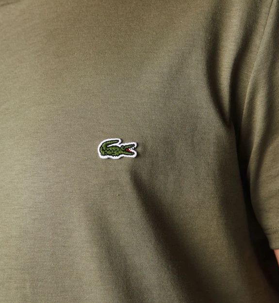 Lacoste | T-shirt Classic in Pima Uomo Verde Cachi - Fabbrica Ski Sises