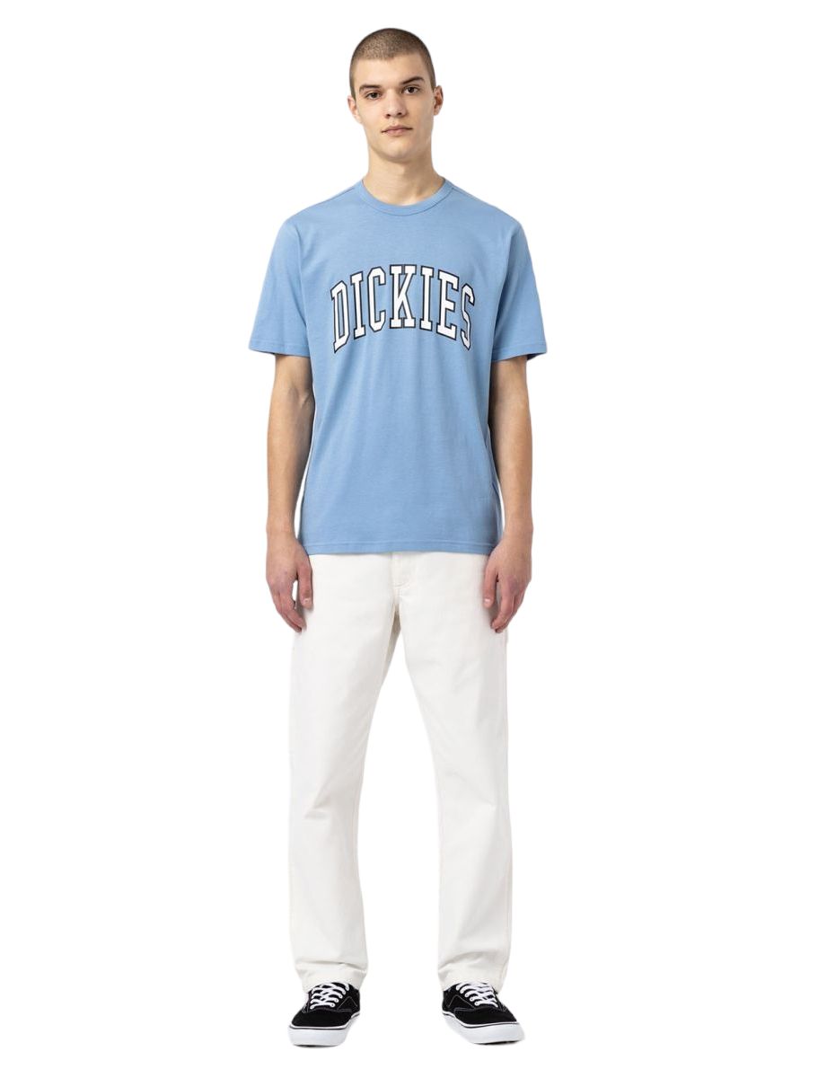 Dickies | Pantaloni Carpenter Uomo Stone Washed Cloud - Fabbrica Ski Sises