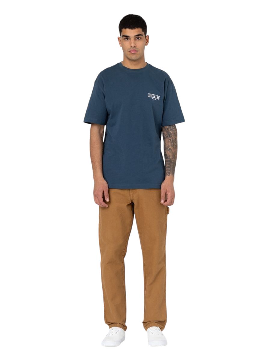 Dickies | Pantaloni Carpenter Uomo Stone Washed Brown Duck - Fabbrica Ski Sises