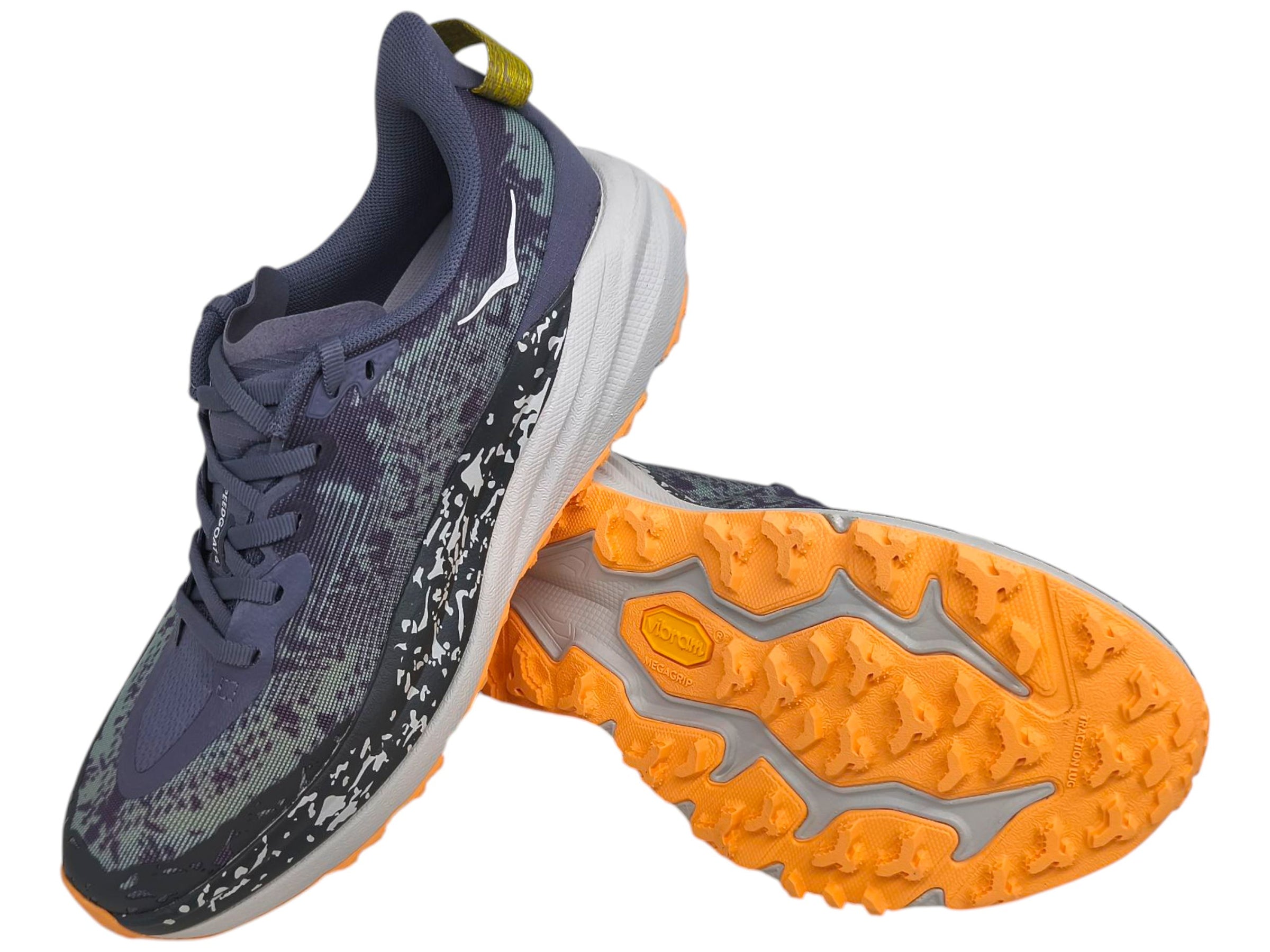 Women's Speedgoat 6 Shoes Grey/Skies Cosmics