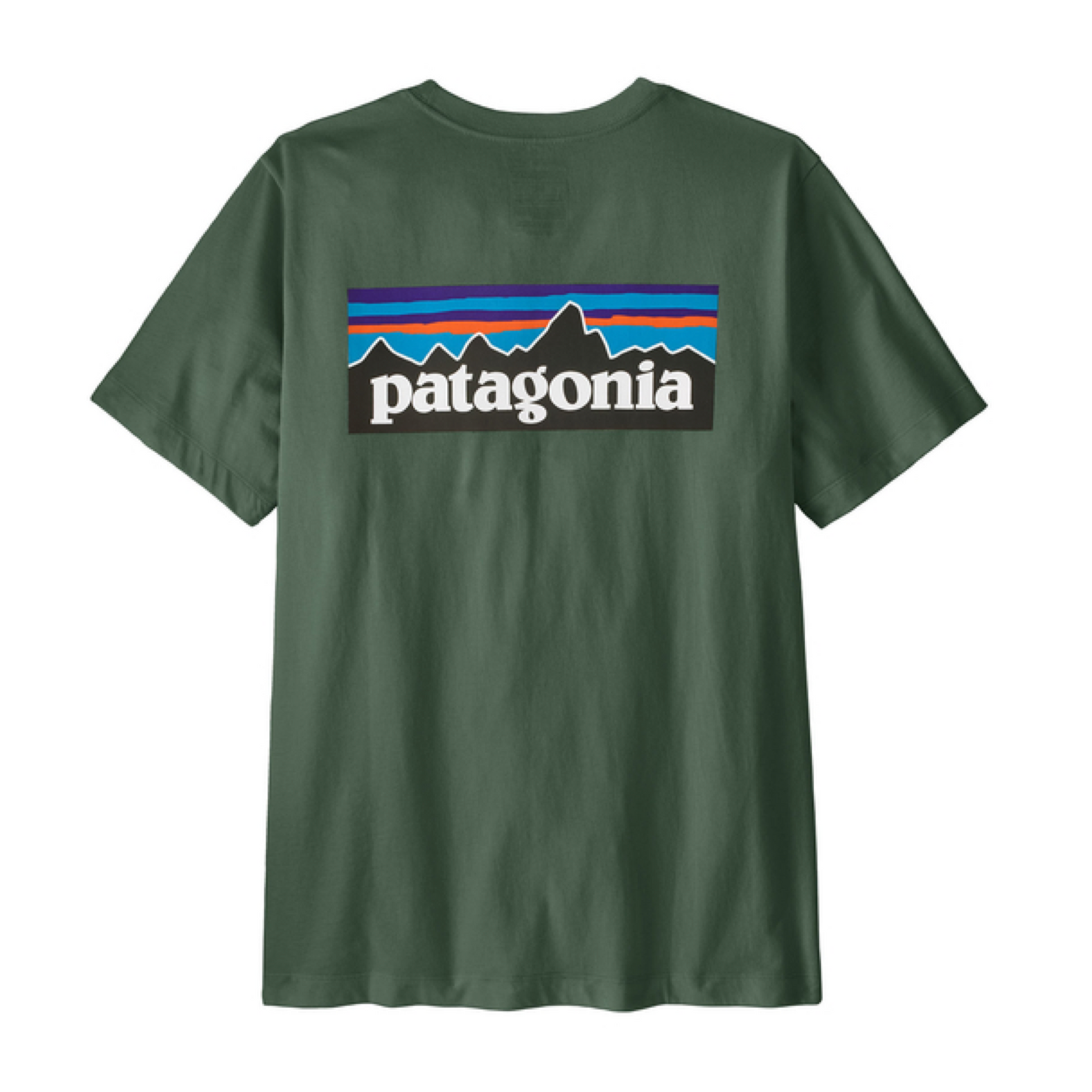 T-shirt P-6 Logo Uomo Canopy Green