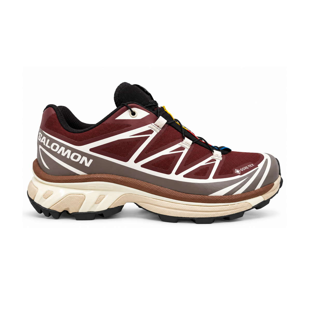 Zapatillas XT-6 GTX Bitter Chocolate/Iron