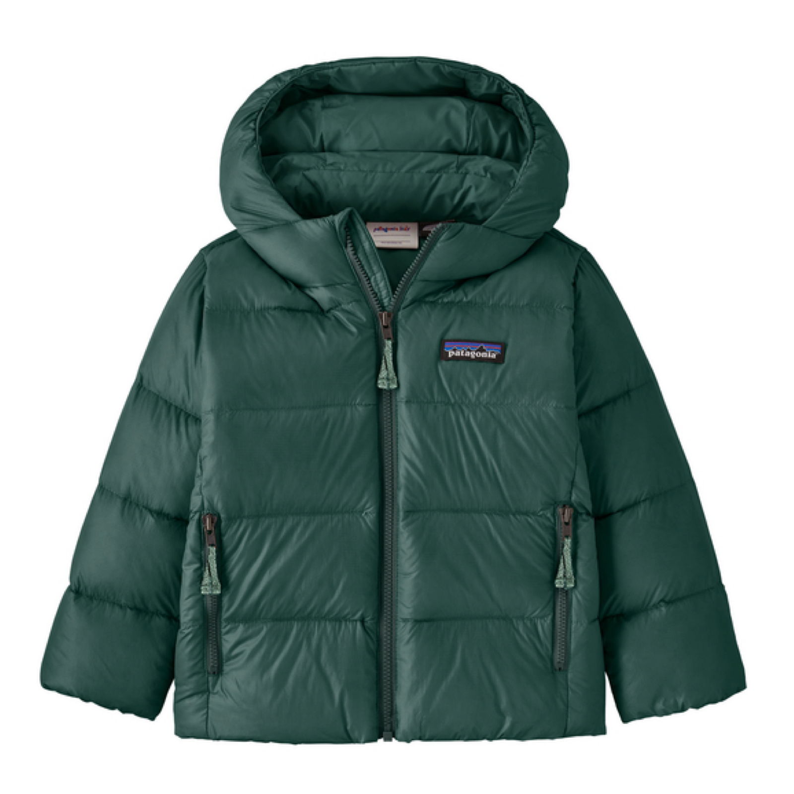 Chaqueta Baby Hi-Loft Down Sweater Hoody Junior Cascade Green