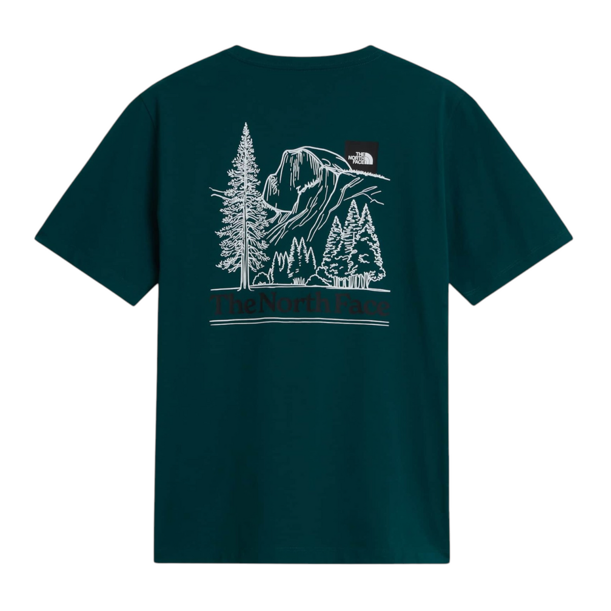 T-shirt Monte Regular Uomo Pacific Teal