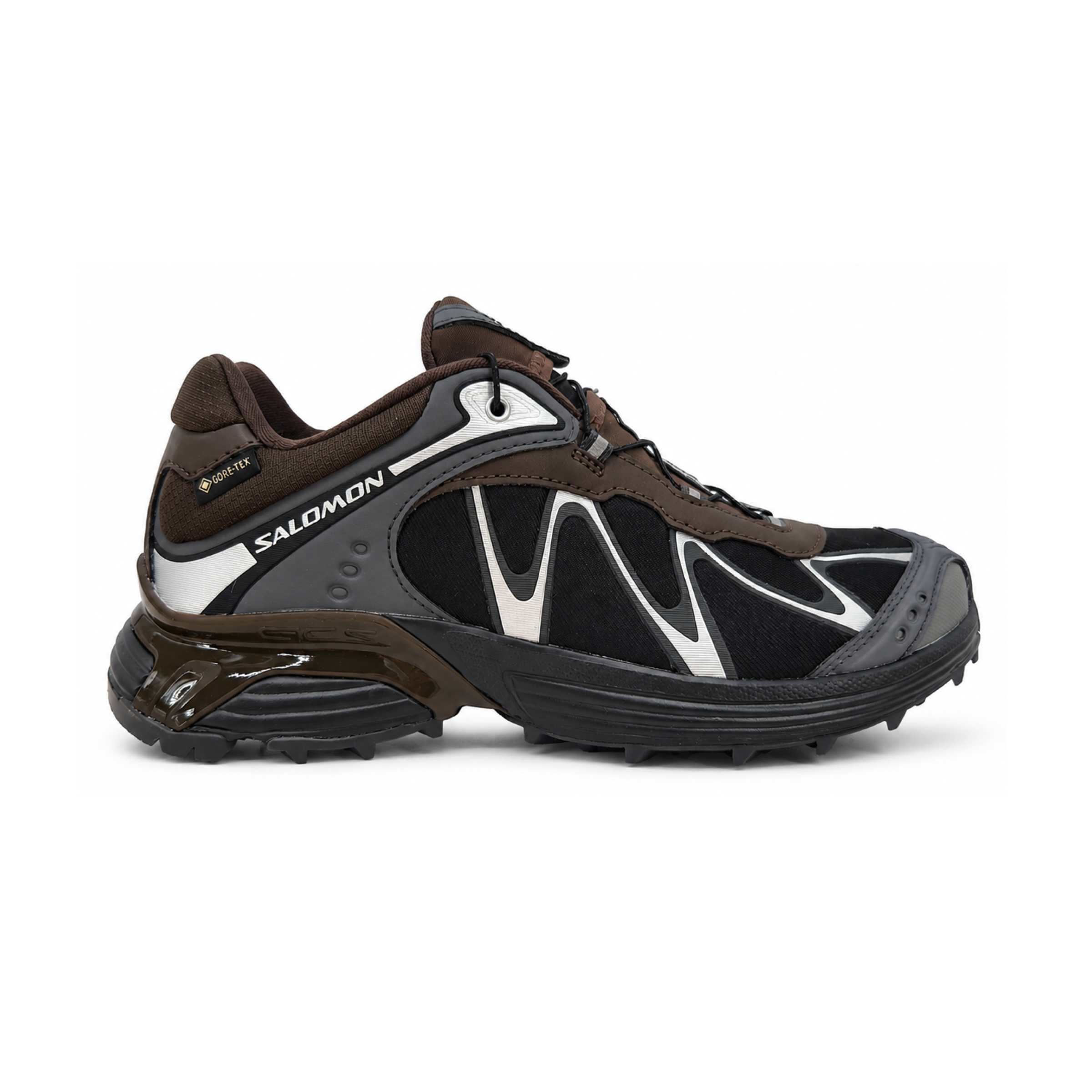 XT-Whisper GTX Schuhe Delicioso/Asphalt