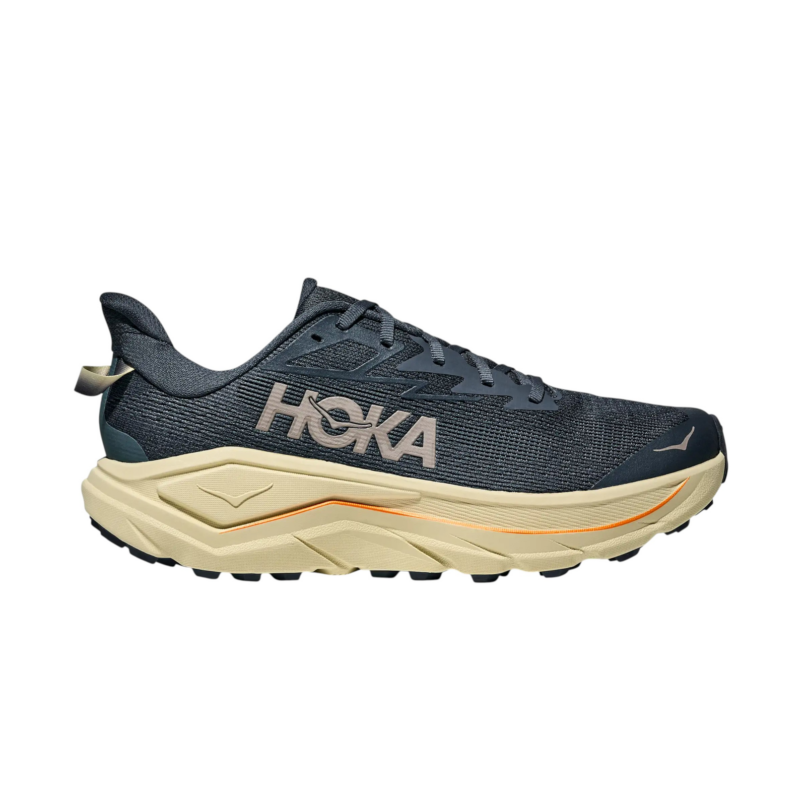 Scarpe Challenger 8 Uomo Faded Navy/Pampass Grass