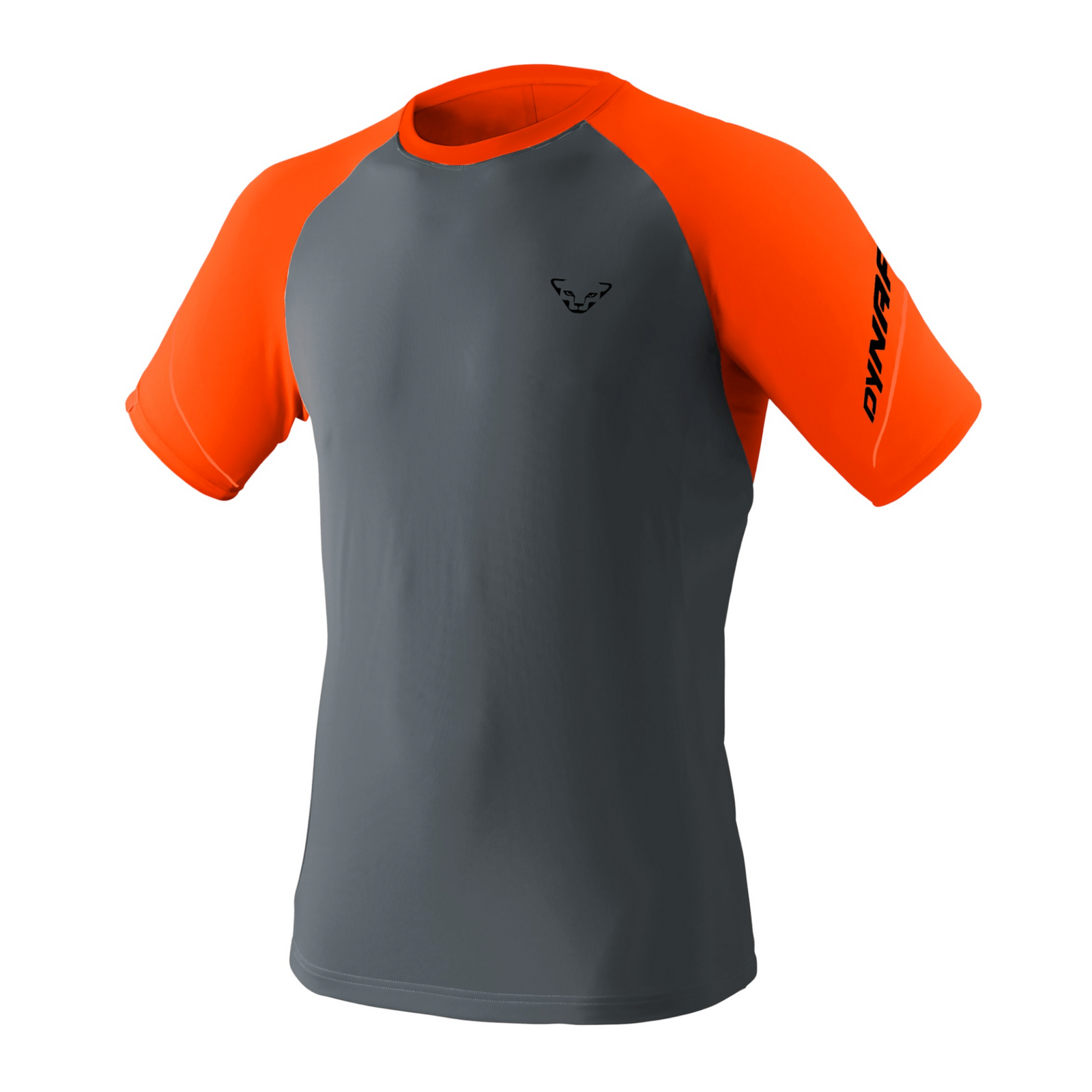 T-shirt Alpine Pro Uomo Cinder