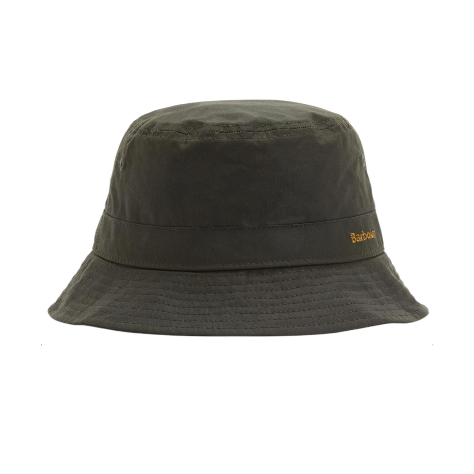 Belsay Wax Hut Fern