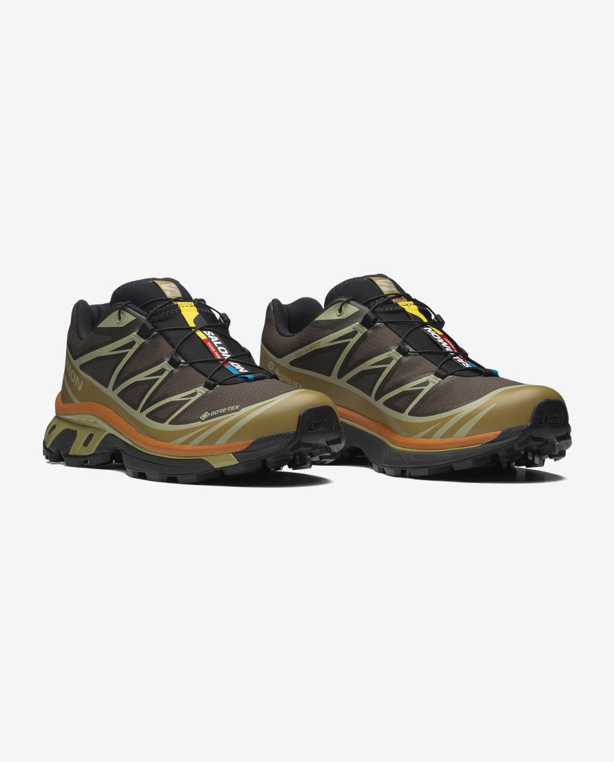 XT-6 GTX Shoes Delicioso/Tea
