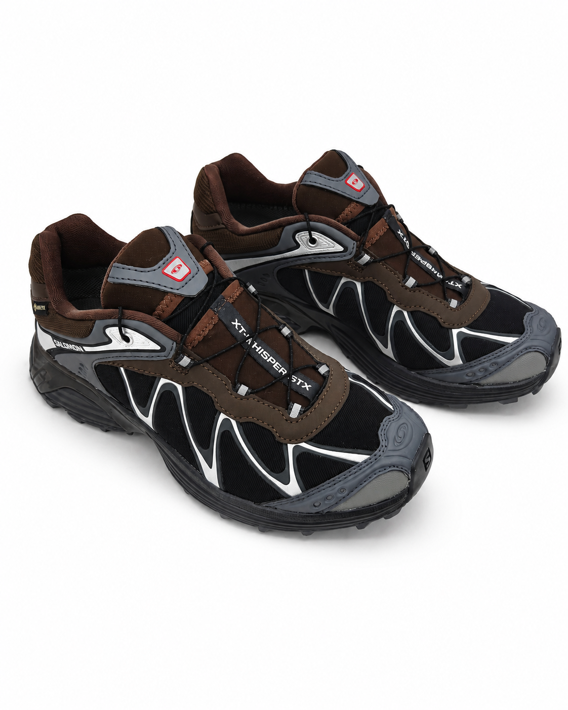 XT-Whisper GTX Schuhe Delicioso/Asphalt