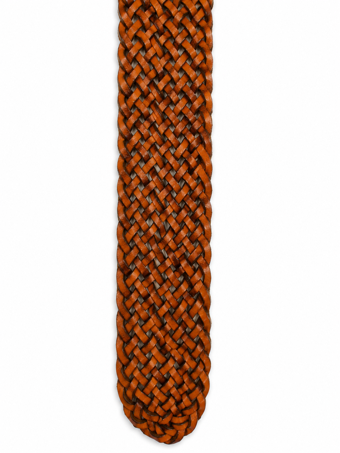 Cintura 16Play Oval Buckle 5Cm Donna Tan/Black Edges