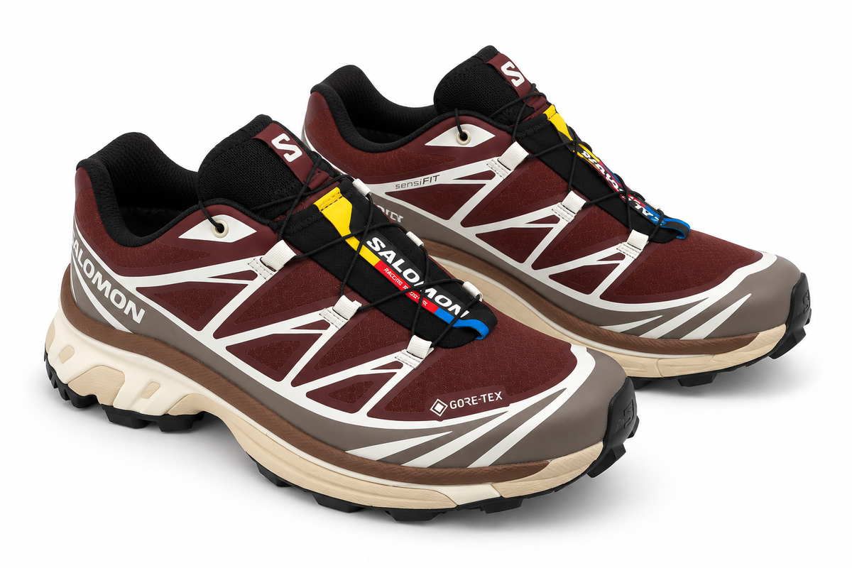 Zapatillas XT-6 GTX Bitter Chocolate/Iron