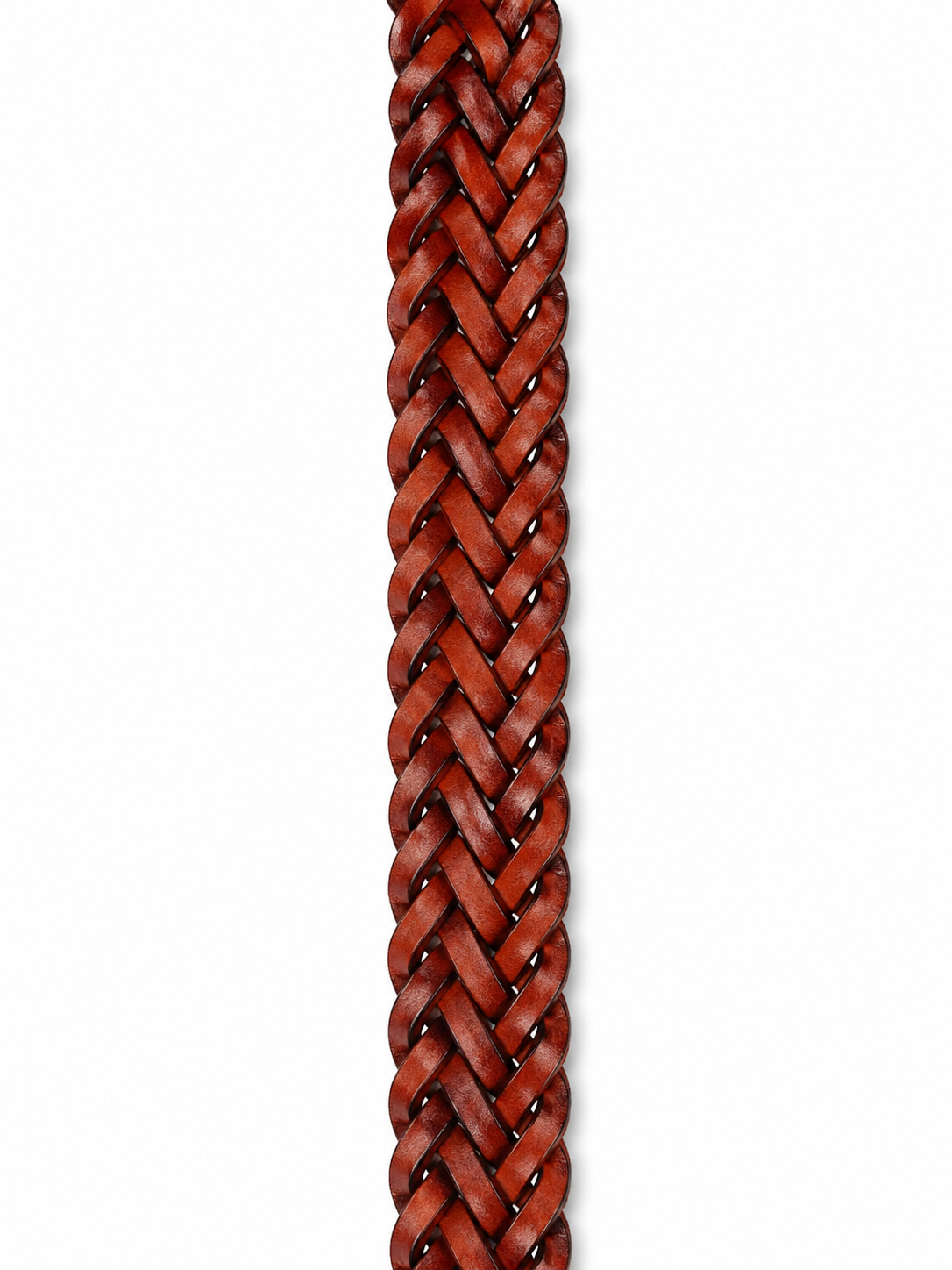 Cintura 9Play Polo Tip 3Cm Donna Tan Black Edges