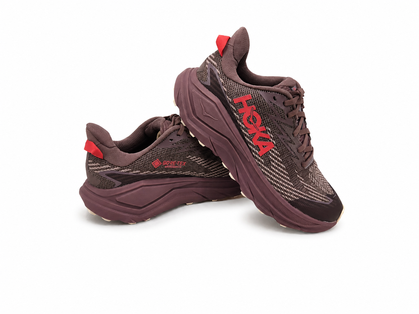 Scarpe Challenger 8 GTX Donna Smoky Quarz/Alabaster