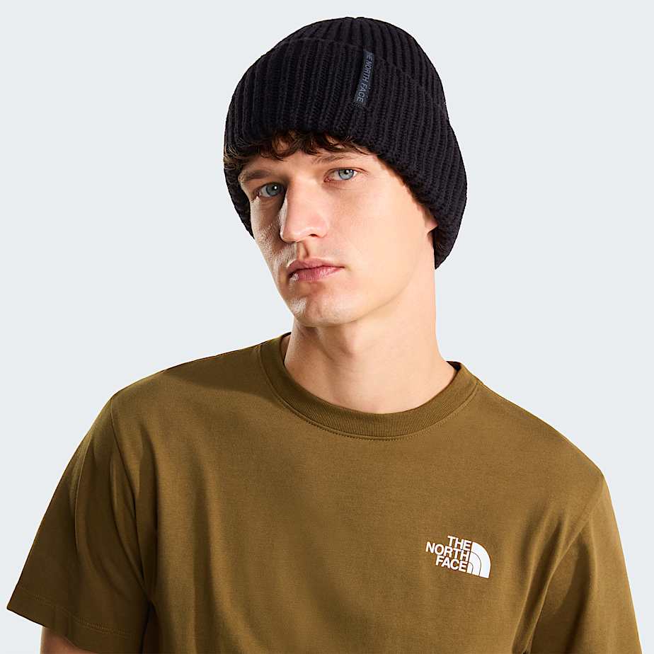 T-shirt North Faces Denali Homme Caraway Seed