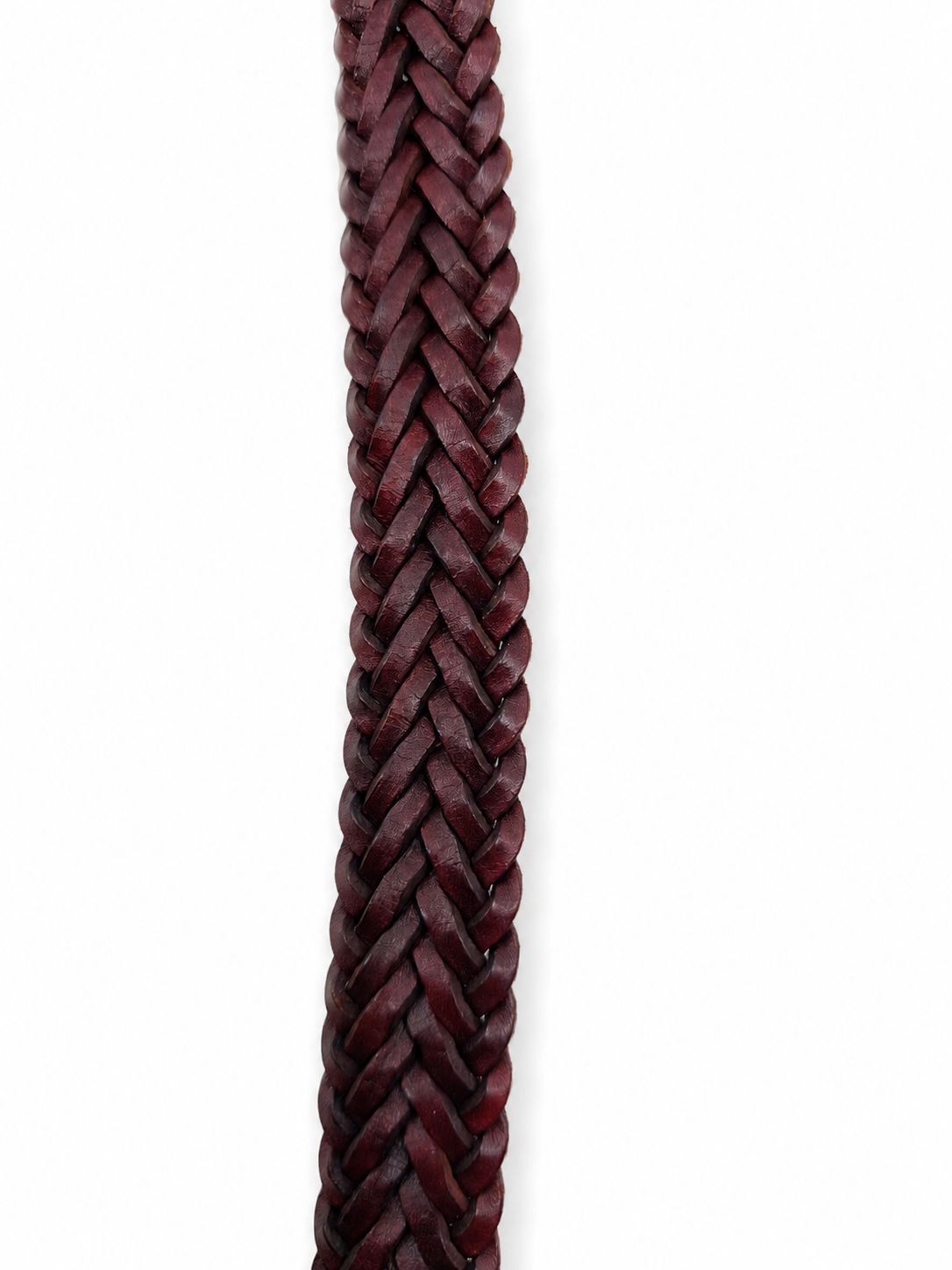 Cintura 9Play Polo Tip 3Cm Donna Bruciato