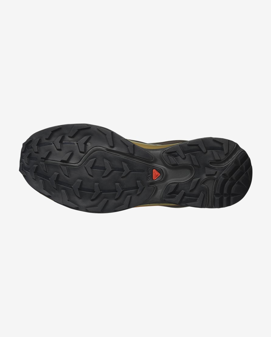 Scarpe XT-6 GTX Delicioso/Tea