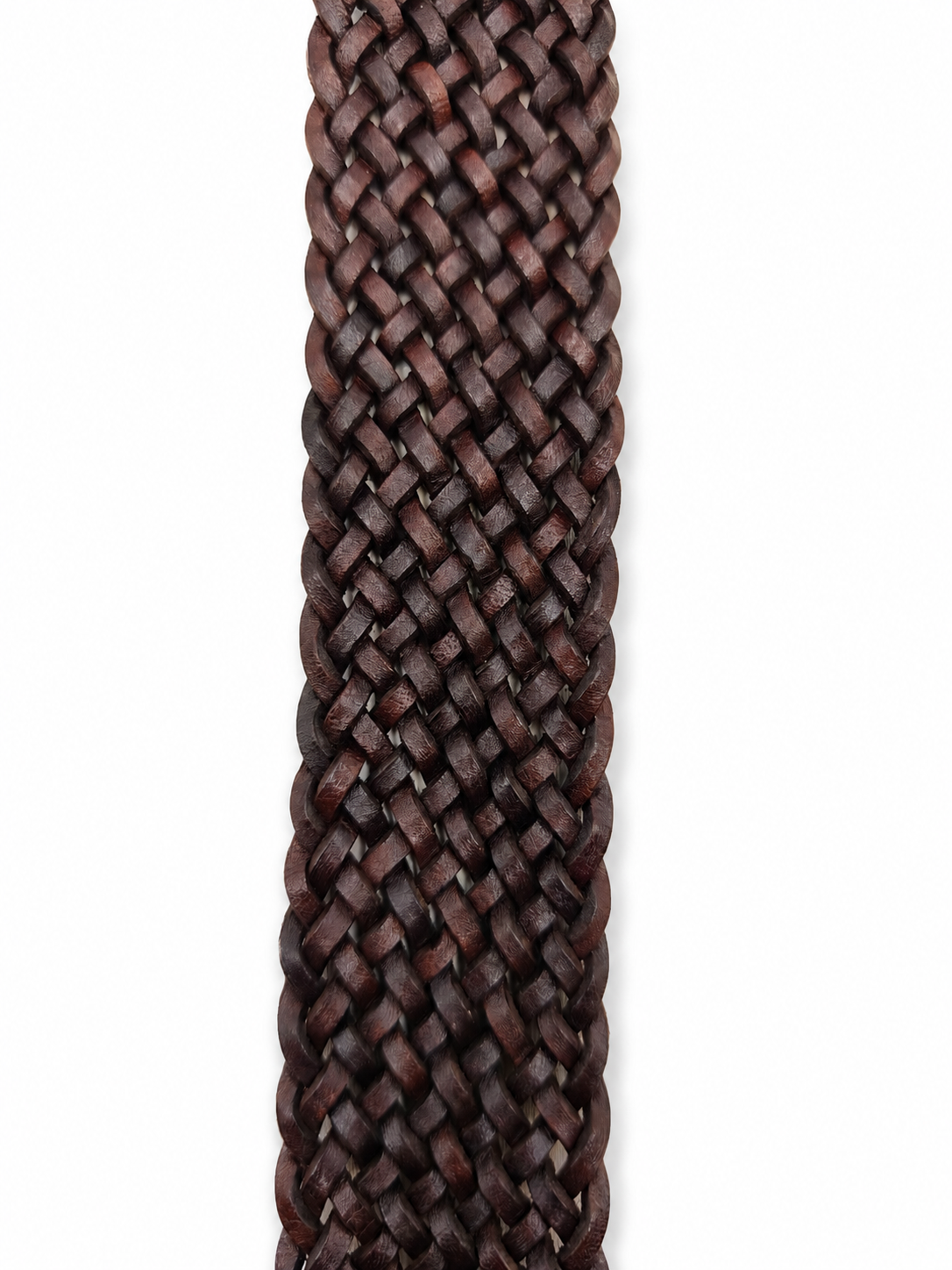 Cintura 16Play Oval Buckle 5Cm Donna Dark Brown