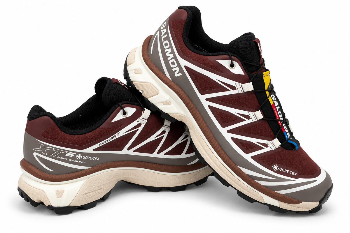 Zapatillas XT-6 GTX Bitter Chocolate/Iron